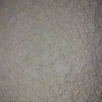 خوراک دامی