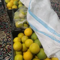 پرتقال‌درجه‌۱|خوردنی و آشامیدنی|عنبرآباد, |دیوار