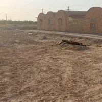 زمین ۳۷۰۰ متر مربع با ۶سالن بزرگ و پروانه دامداری|فروش دفتر صنعتی، کشاورزی، تجاری|میبد, |دیوار