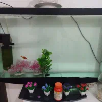 آکواریوم طرح ال سی دی