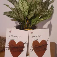 مجموعه شعر تنیده در عشق|کتاب و مجله ادبی|مشکین‌دشت, |دیوار