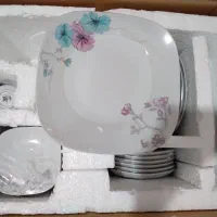 ظروف چینی