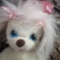 اسباب بازی درحد نو|اسباببازی|قم, نخودی|دیوار