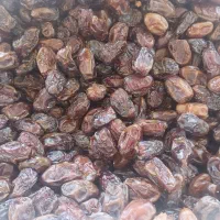 خرمای بسته بندی جنوب