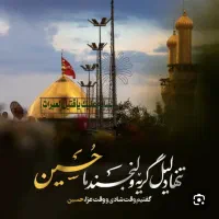 کربلا رفت و برگشت