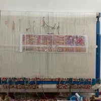 زرنیم نیمه کاره ب فروش میرسد