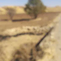 زمین کشاورزی ۲هکتارآبی|فروش زمین و ملک کلنگی|کوزران, |دیوار