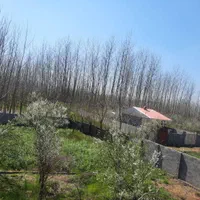 زمین سند دار در بافت طرح هادی|فروش زمین و ملک کلنگی|رشت, بازار|دیوار