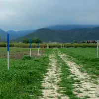 زمین کشاورزی ۱۰ هکتار  روستای ایلوار