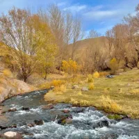 خط موبایل912