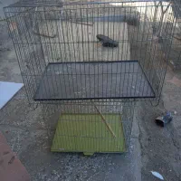 قفس|لوازم جانبی حیوانات|میناب, |دیوار