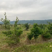 زمین ارزنده مناسب سرمایه گذاری کوتاه مدت