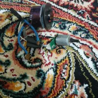 امیچر مایل کفتر