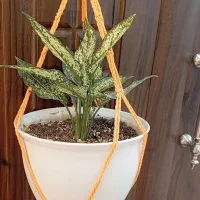 اویز و شلف مکرومه|صنایع دستی و سایر لوازم تزئینی|میانه, |دیوار