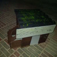 لانه گربه