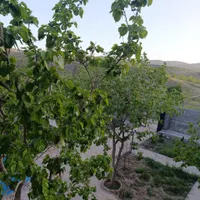 باغ ویلای شیک و زیبا در شاندیز|فروش خانه و ویلا|مشهد, هنرستان|دیوار