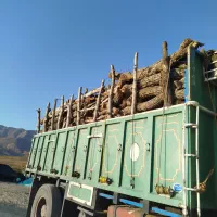 خرید چوب باغی|خدمات باغبانی و درختکاری|شیراز, گویم|دیوار