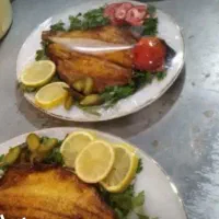 غذای خانگی