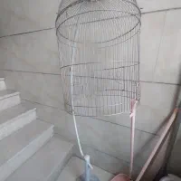 قفس ایستاده