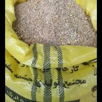 دان پرواری چشمه سفید