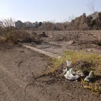 فروش زمین ۱۳۵ متری|فروش زمین و ملک کلنگی|مشکین‌دشت, |دیوار
