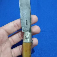 چاقو دسته شاخ|کوهنوردی و کمپینگ|نجف‌آباد, امام خمینی|دیوار