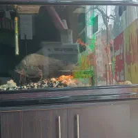 دوعددماهی پیرانابزرگ  و کت خرگوشی