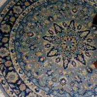 فرش دوازده متری  وقالیچه|فرش|رشت, استقامت ۱|دیوار