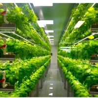 زمین-گلخانه