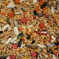 دون مخصوص مینا و عروس و...