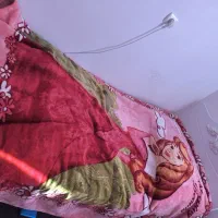 سیسمونی چوبی|تخت و سرویس خواب|میاندوآب, |دیوار