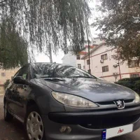 ۲۰۶ تیپ ۲ رنگ خاکستری مدل ۸۹ بدون رنگ