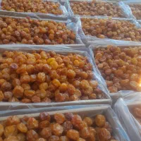 آلوخورشتی درجه یک آذربایجان|خوردنی و آشامیدنی|سرخه, |دیوار