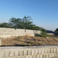 زمین