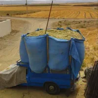 فروش کاه لوبیا الیگودرز - بار باکیفیت