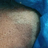 برنج فجر