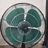 پنکه کلیکسیونی