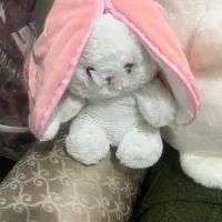 عروسک خارجی|اسباببازی بچه|قم, زاد|دیوار