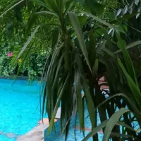 ویلا-باغ-اجاره-ای-در-دزفول