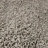 خشک کن و بوجاری و تفت.تخمه آفتاب گردان