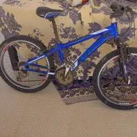 دوچرخه ویوا سایز ۲۴
