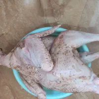 بوقلمون گوشتی پاک کرده آماده