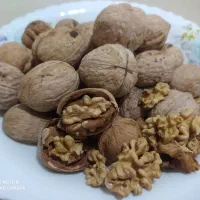 گردو آلوبخارا بادام بوانات|خوردنی و آشامیدنی|شیراز, شهرک فرهنگیان|دیوار