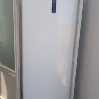 فریزرسیلوان کاملا سالم