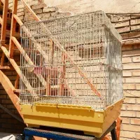 قفس پرنده با سایزای مختلف