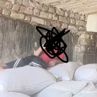 گندم