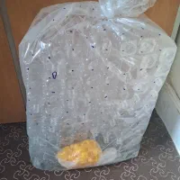 بطری یک لیتری نو با درب