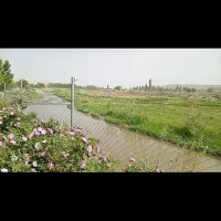 باغ زنجانرود