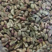 مغز پسته کال