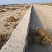 زمین مسکونی کویه گلدشت|فروش زمین و ملک کلنگی|اهواز, گلدشت|دیوار